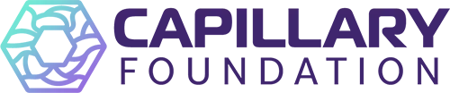 Capillary Foundation